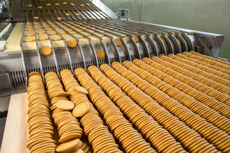 Biscuits on a conveyor belt