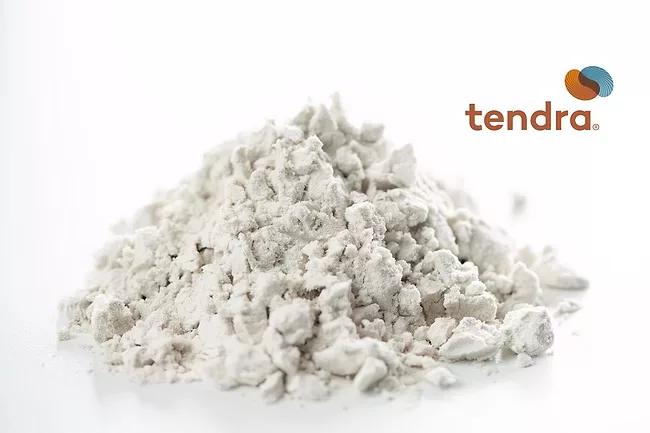 Tendra fava protein