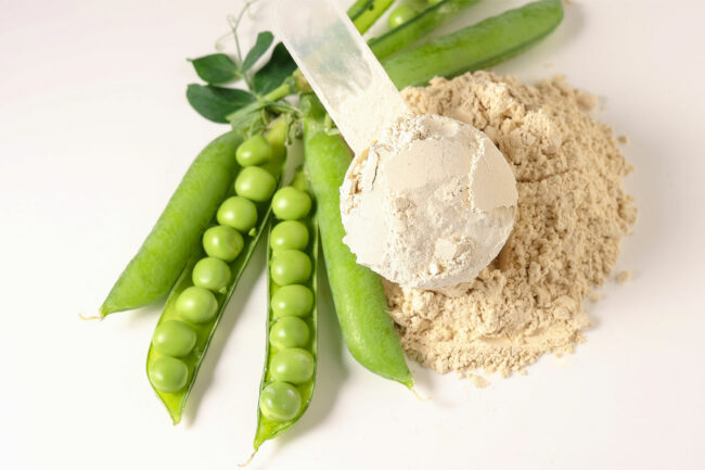 Pea protein