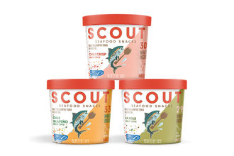 Scout products