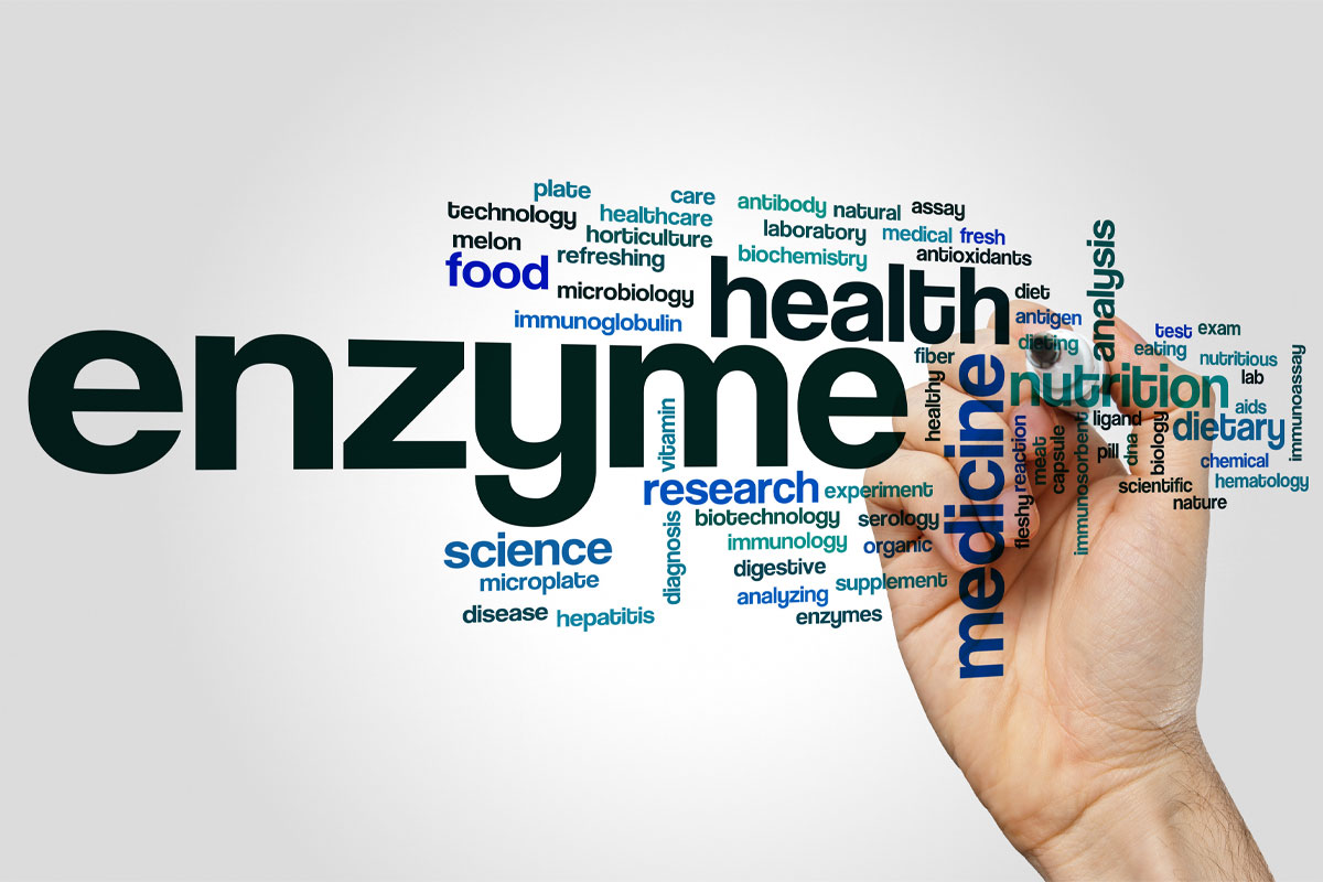 Enzymes word cloud