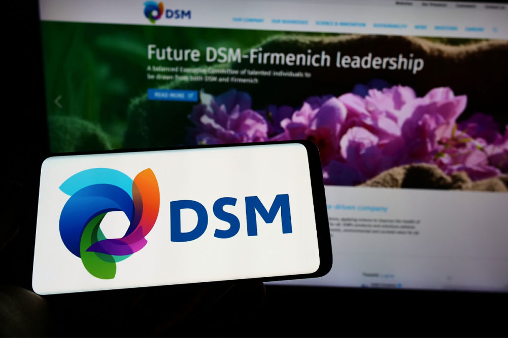DSM logo on a phone
