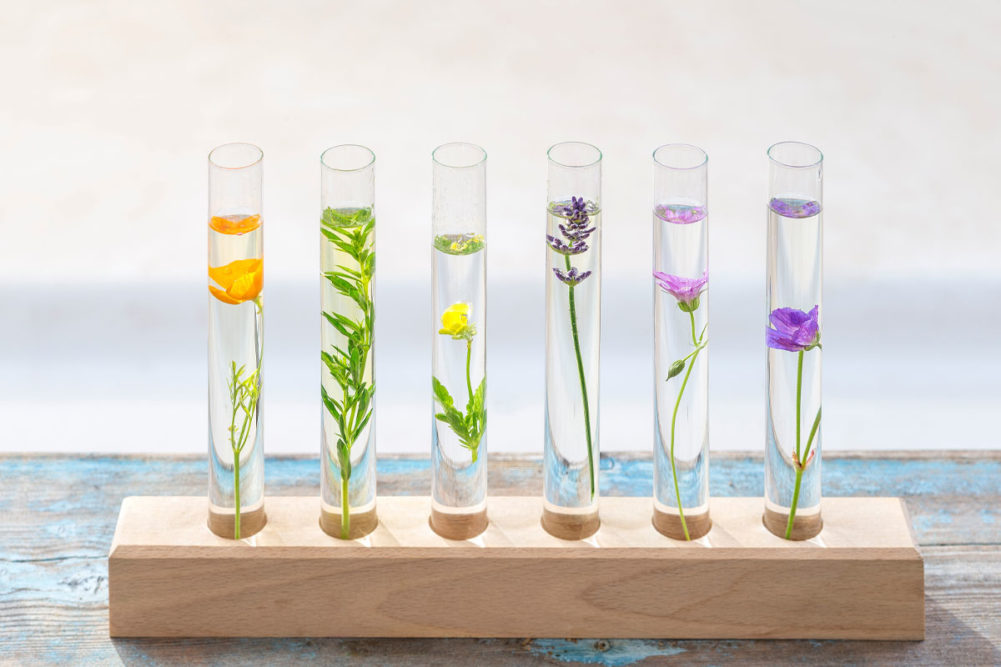 Small flowers in vials