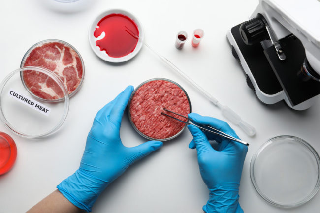 A scientist working on cultured meat in a lab