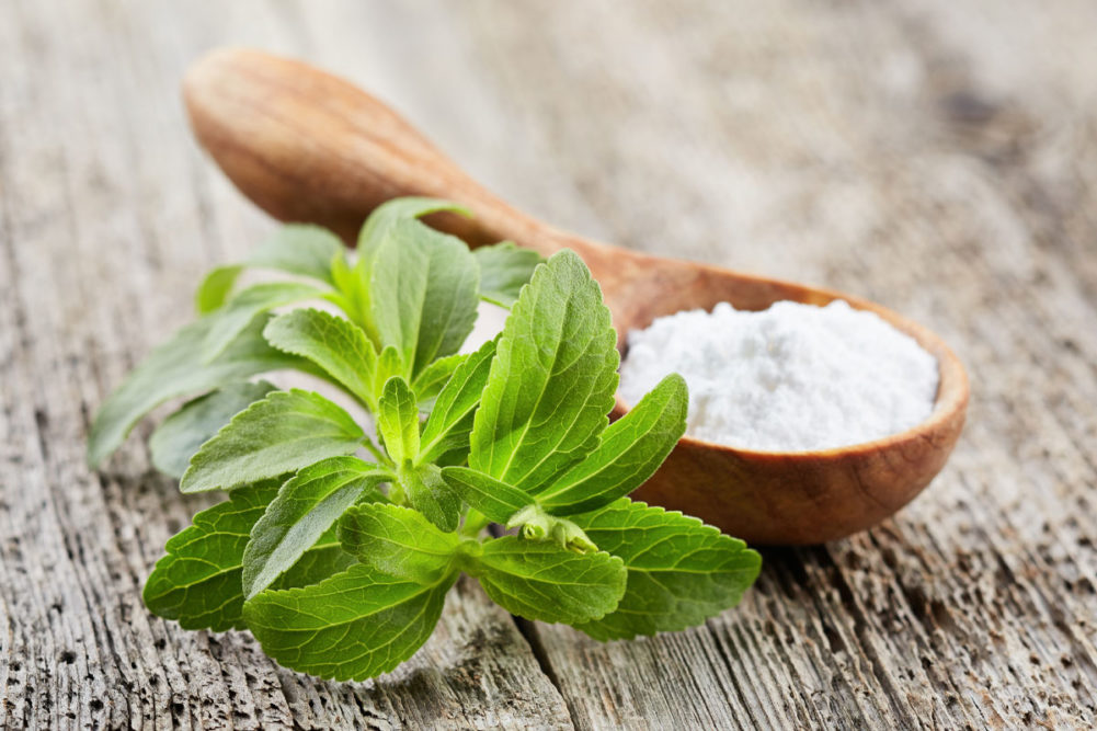 Stevia plant with stevia sweetener