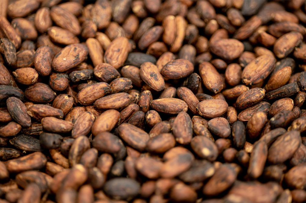 Roasted cacao beans