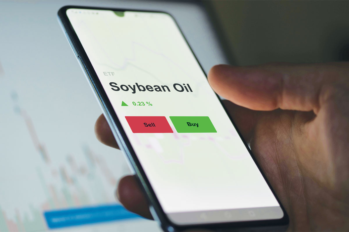 Soybean markets