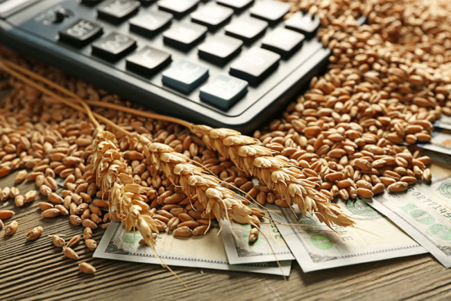 Wheat on top of bank notes and a calculator