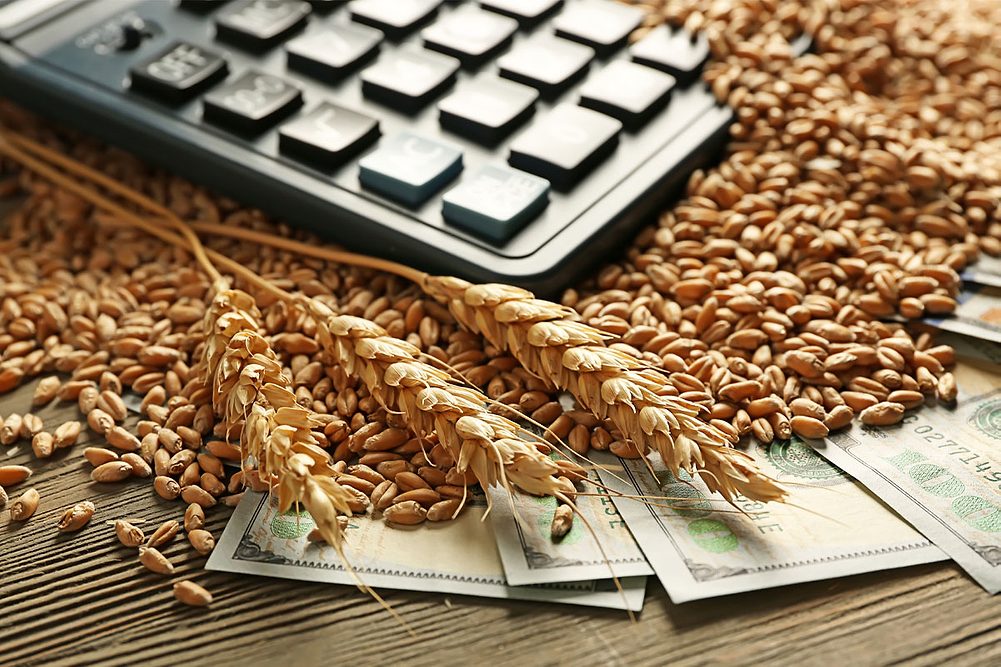 Wheat on top of bank notes and a calculator