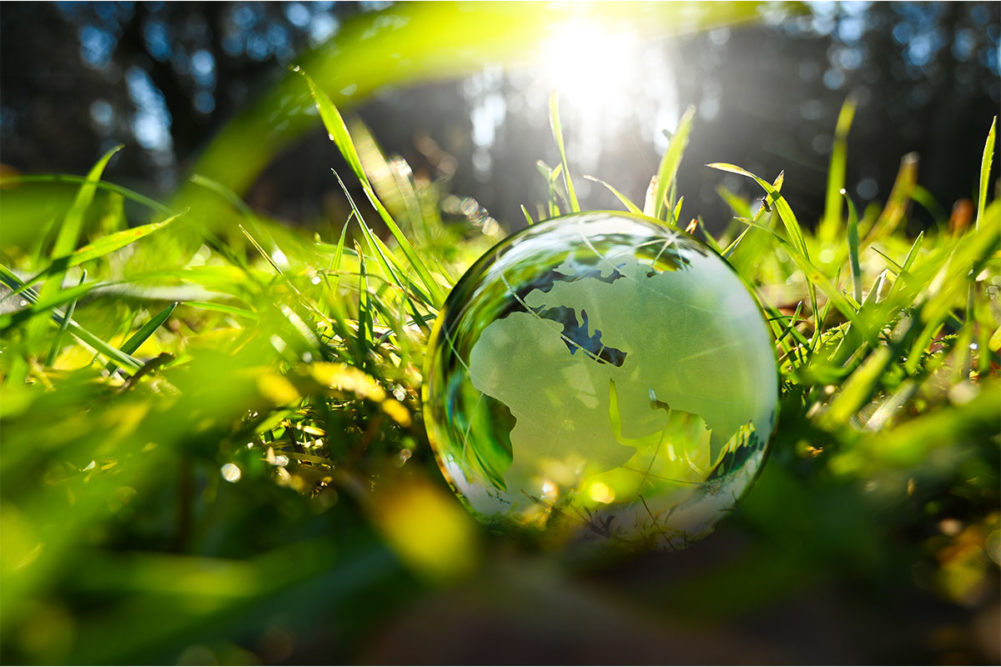 Glass globe in the grass