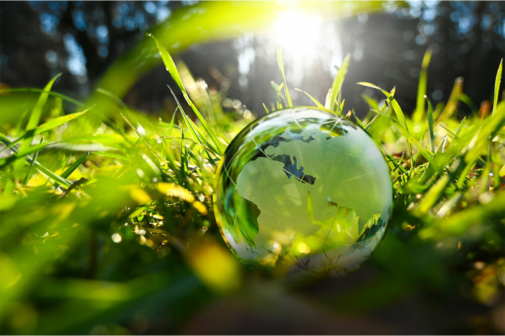 Glass globe in the grass