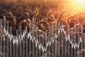 Stock chart imposed over wheat field
