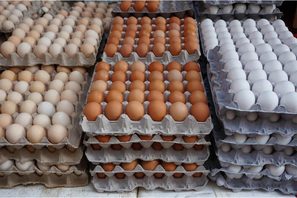 Cartons of eggs