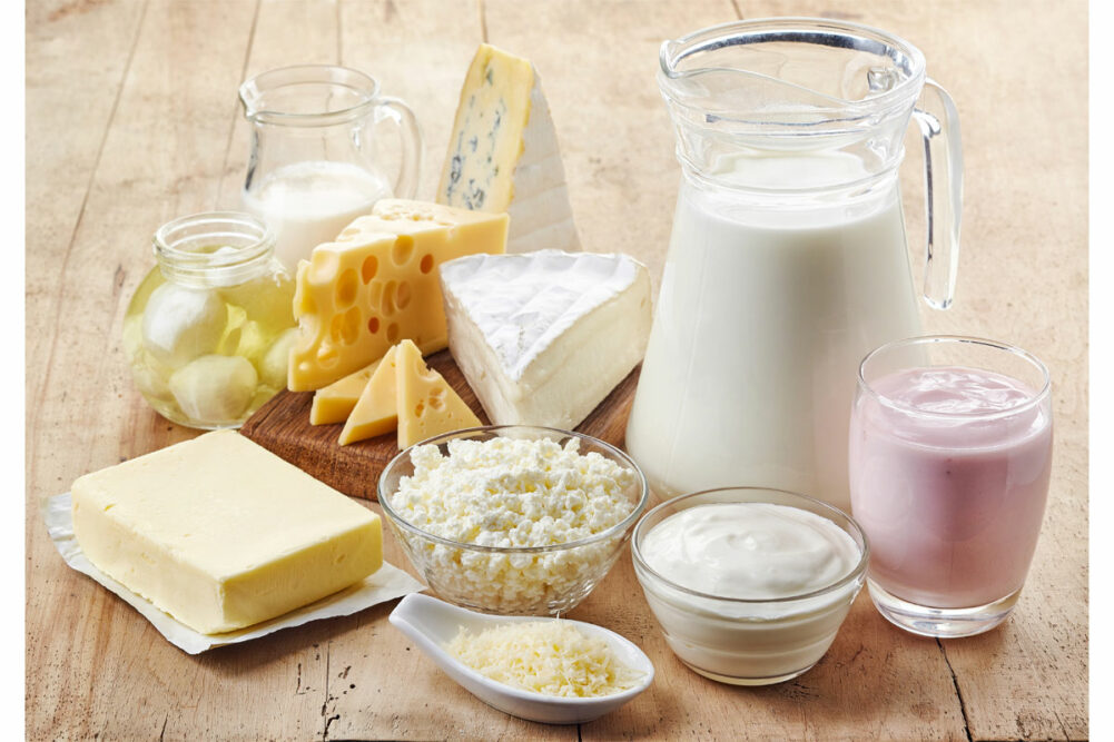 Variety of dairy products