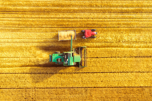 Harvester working in a field