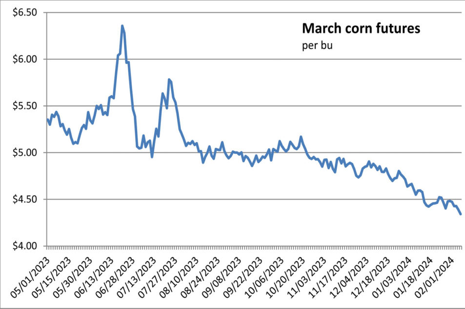 Corn prices drop on South American weather