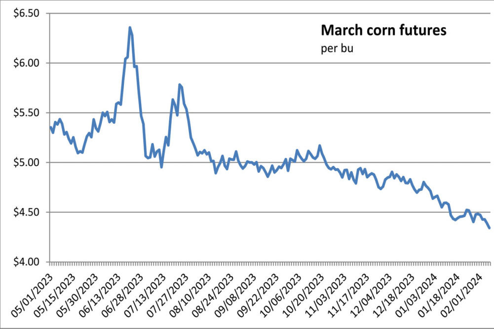 Los precios del maíz caen por el clima en Sudamérica