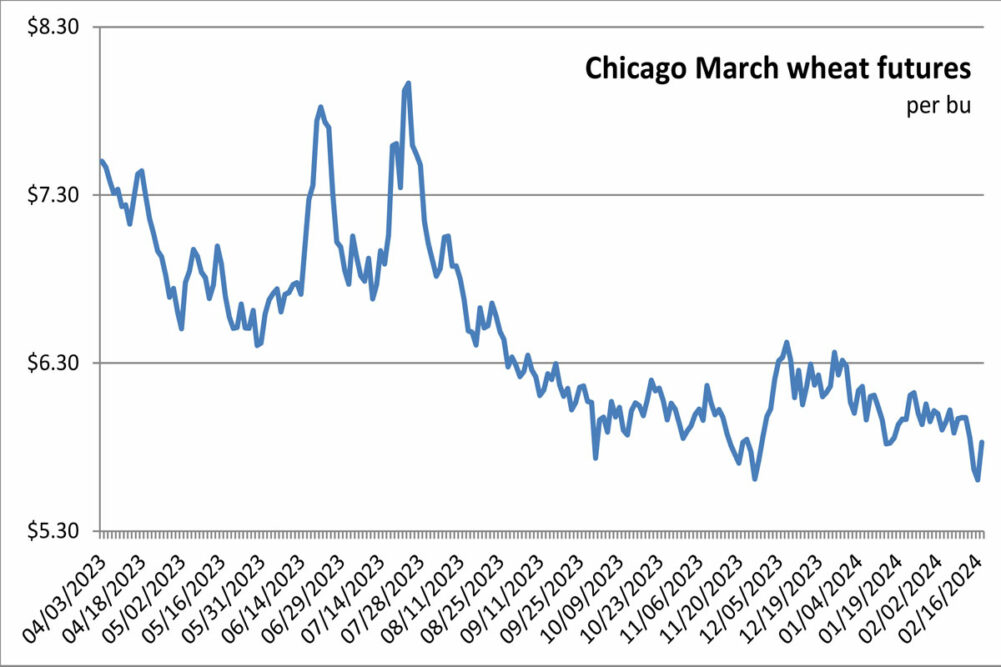Chicago wheat futures