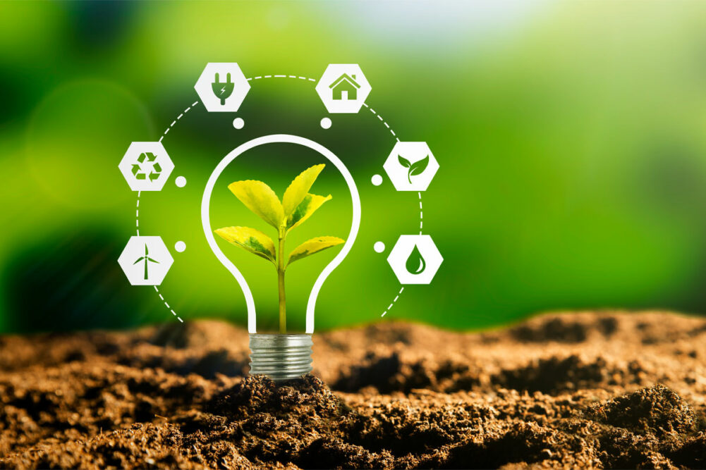 Sustainability concept