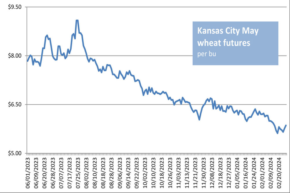 Los futuros de maíz y soja cayeron a sus niveles más bajos en tres años