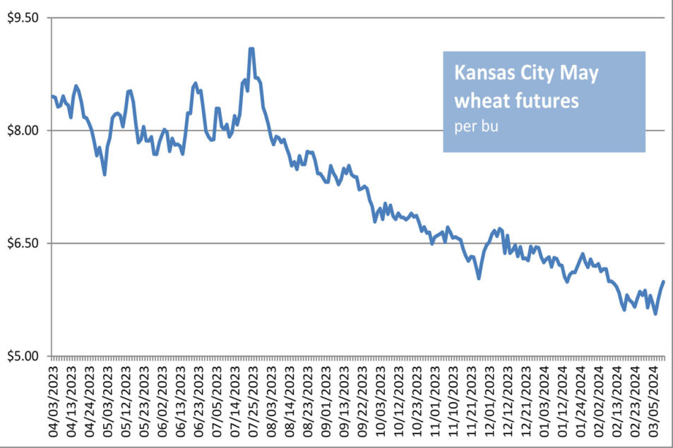 Wheat futures advance despite third Chinese cancellation