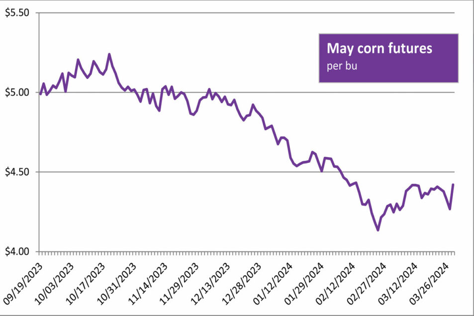 Decreased corn planting intentions drive futures prices up