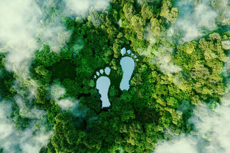 Lake in the shape of human footprints in the forest