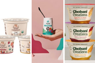 New Yogurts from Painterland Sisters, Yoplait and Chobani