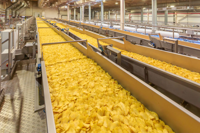 Long conveyor belt of potato chips