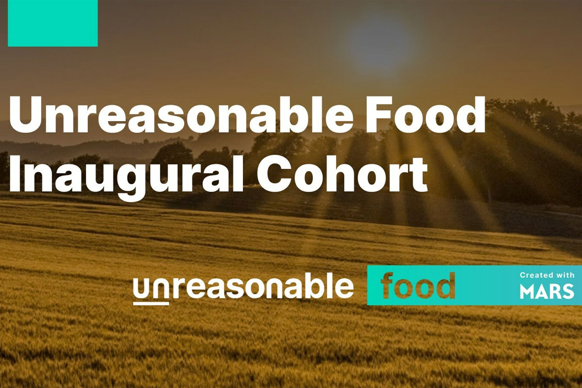 Unreasonable Food graphic