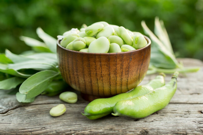 Fava beans