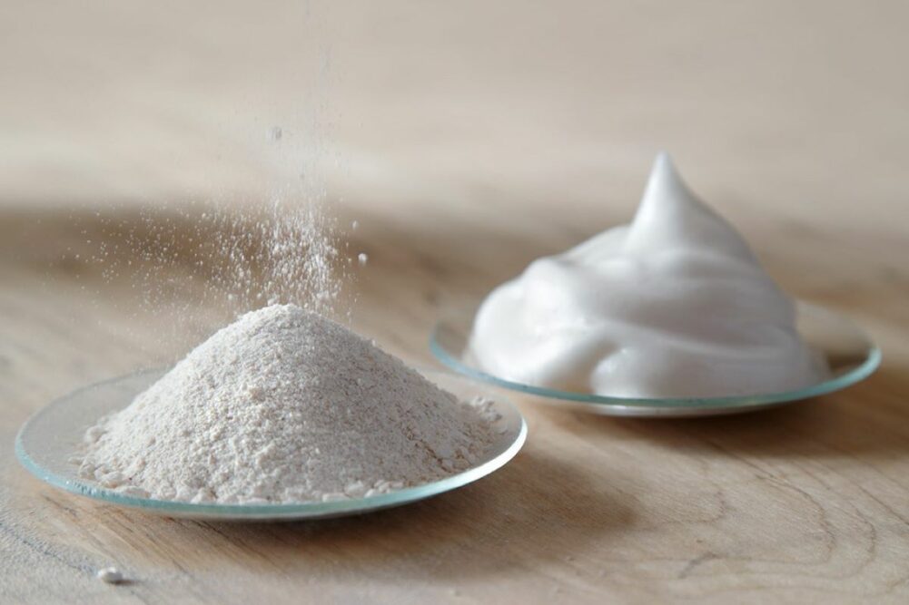 Onego Bio Bioalbumen powder 