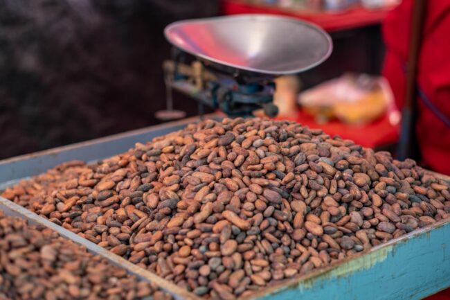 Cocoa beans near scale