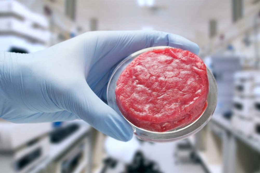 cultivated meat