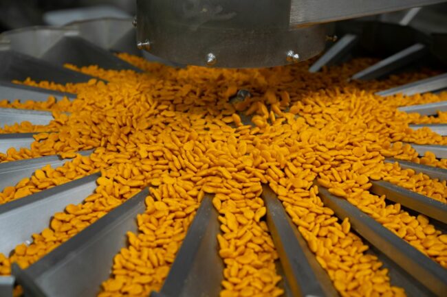 goldfish cracker production line