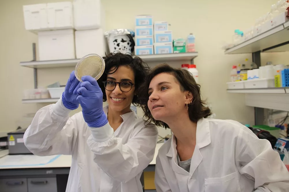 DairyX-in-the-lab