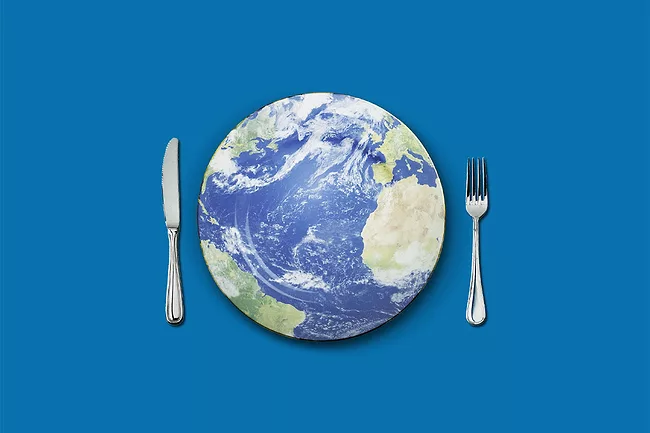 Earth as a plate