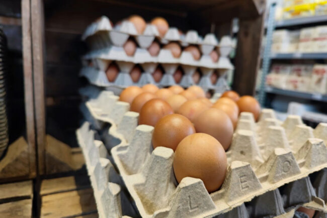 Eggs