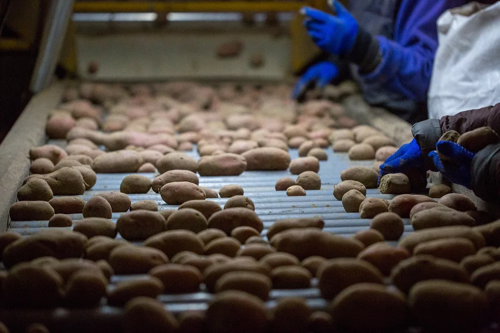 poatoes