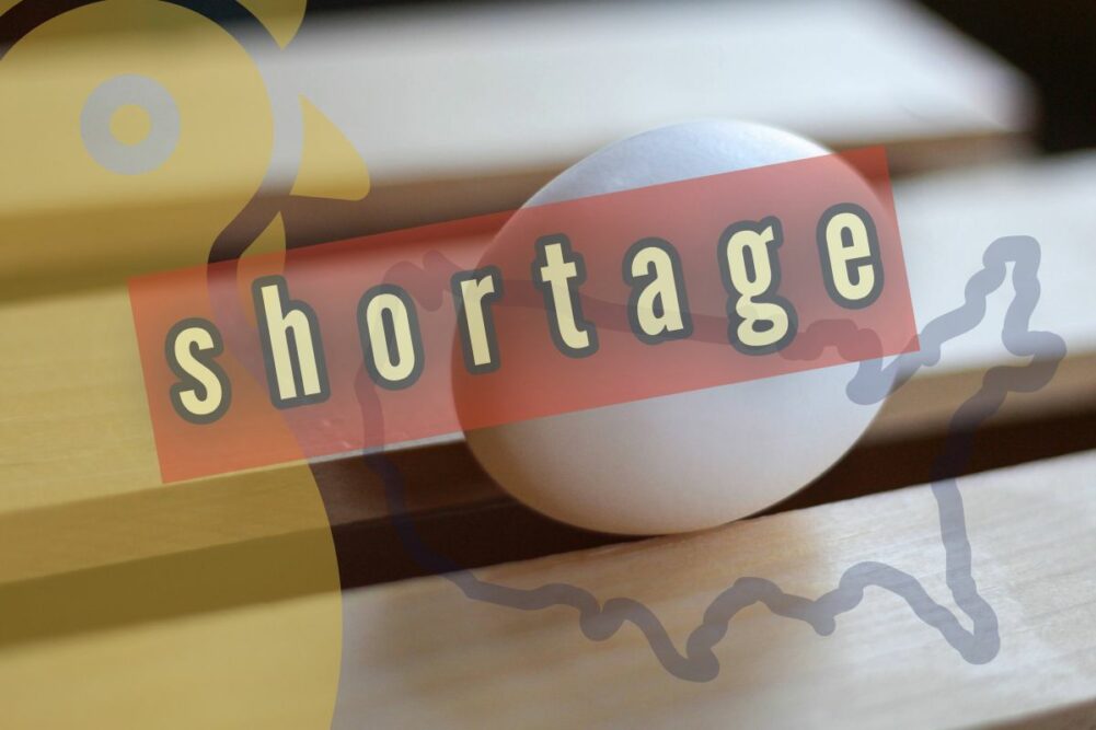 egg shortage lead -- CAROLINE.jpg