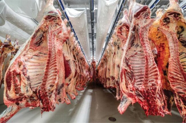 hanging meat