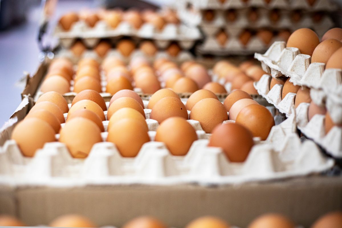 eggs.jpg