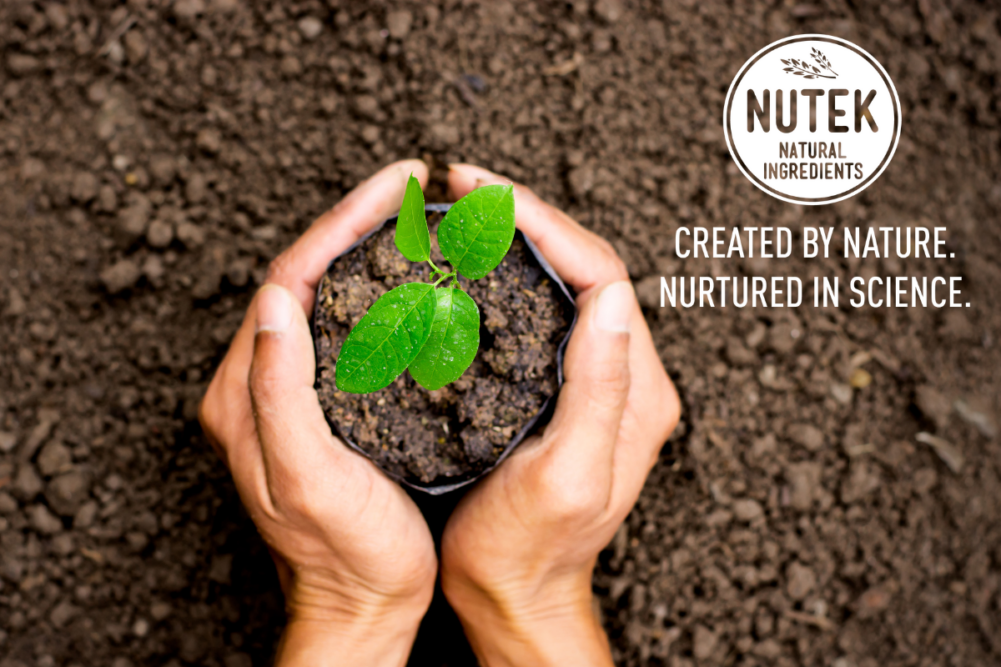 NUTEK Sosland Native Article Main Image (1200 x 800).png
