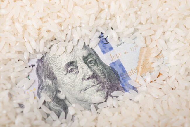 rice and money