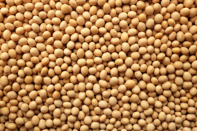 soybeans