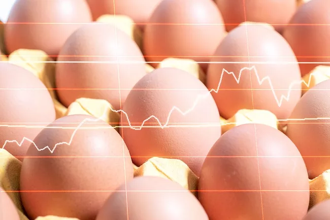eggs