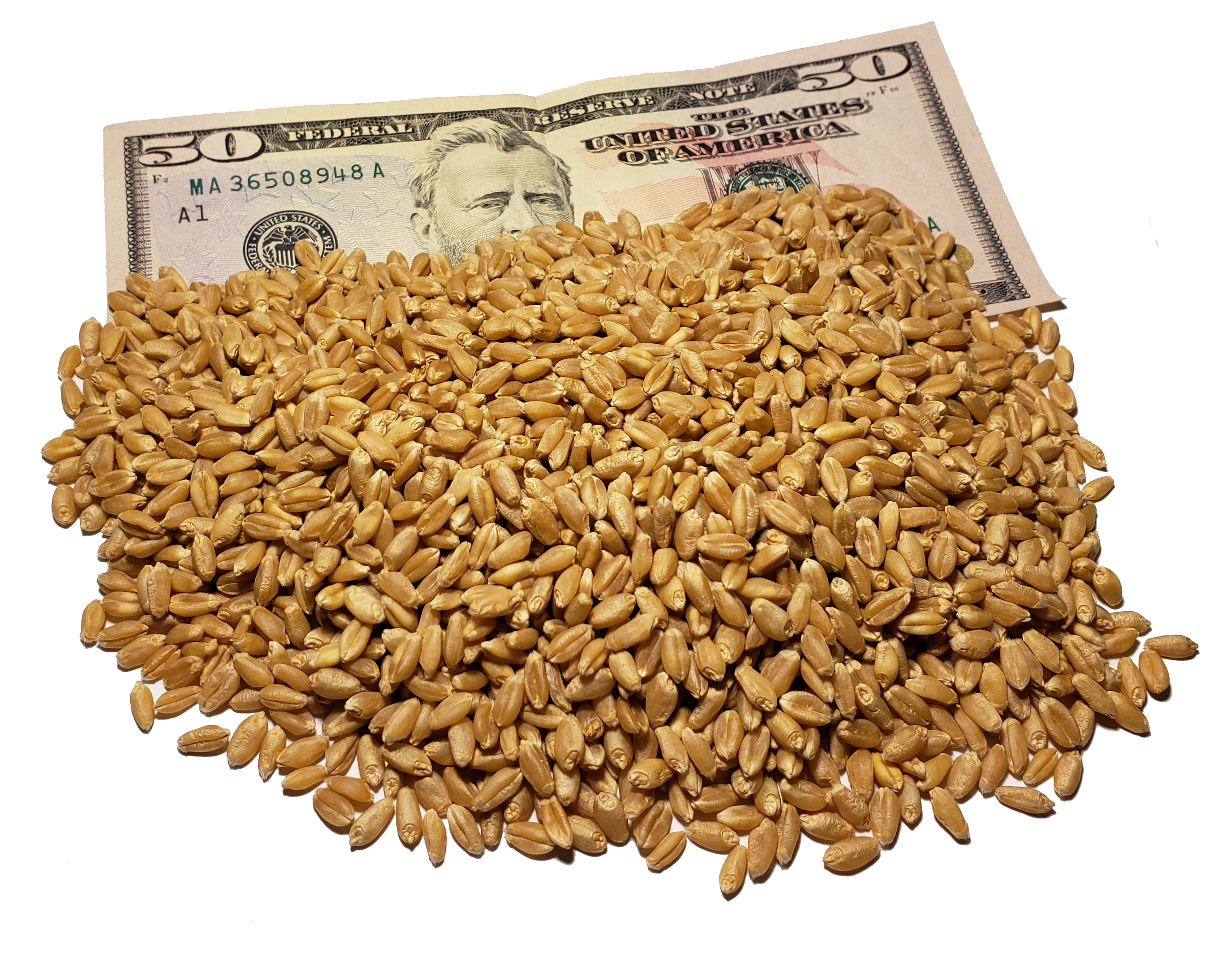 nuts on money
