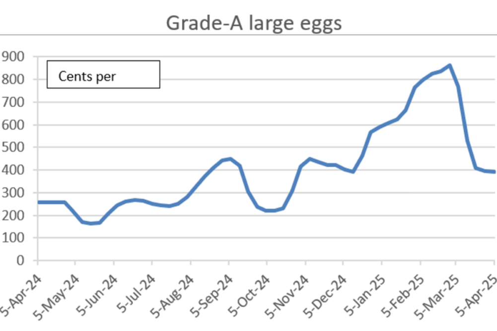 egg chart