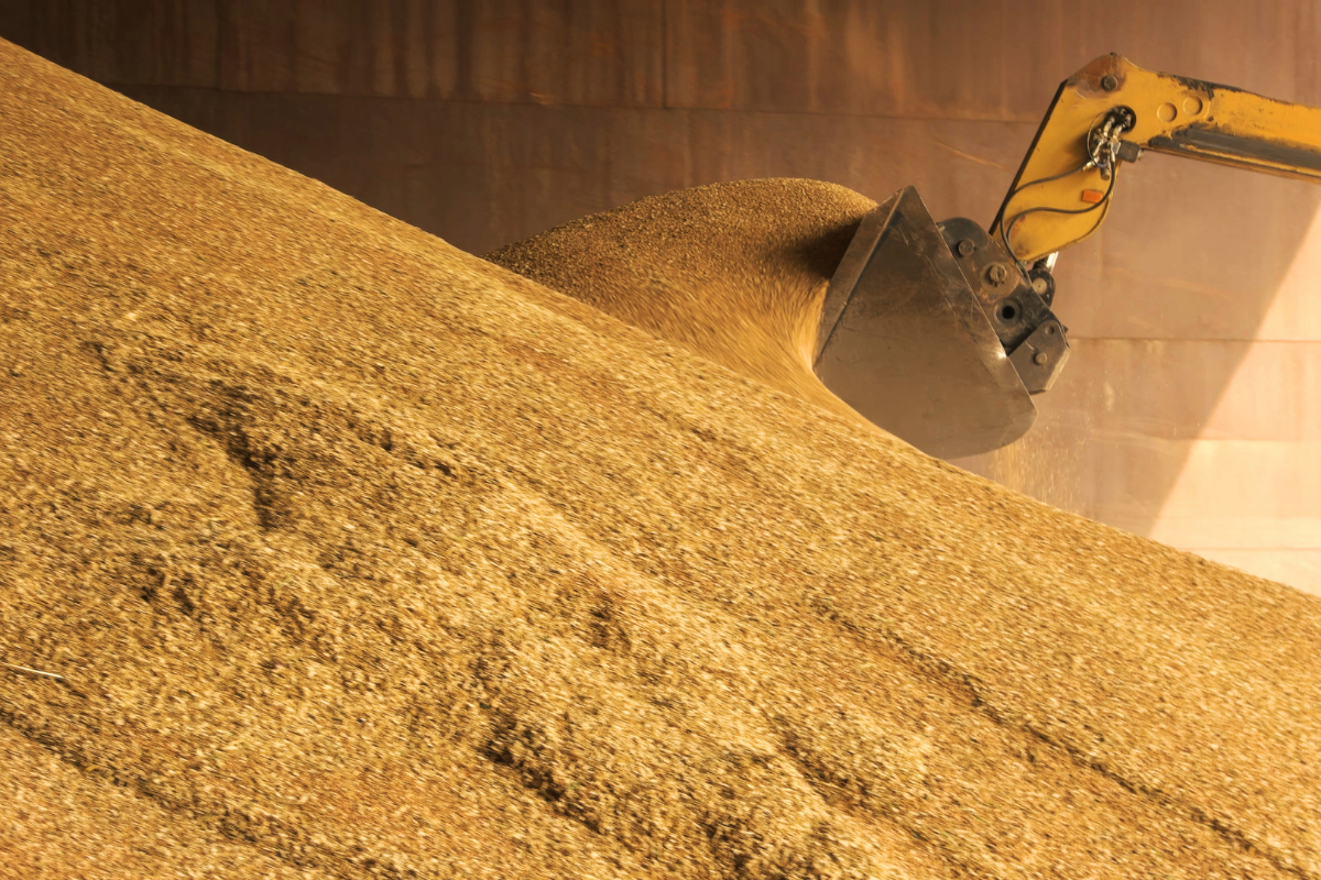 grains