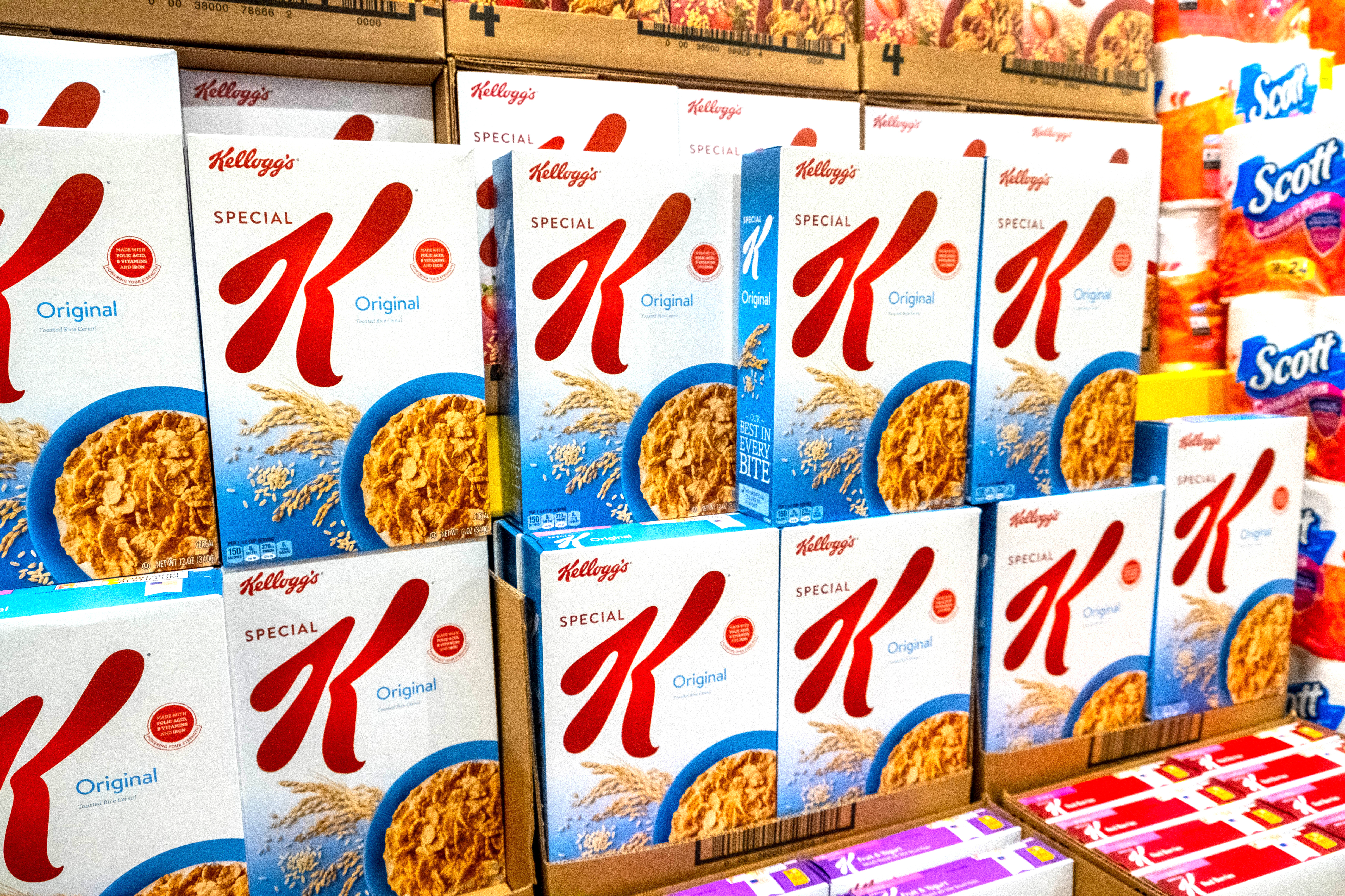 wk kellogg embed -- ADRIANA.jpeg
